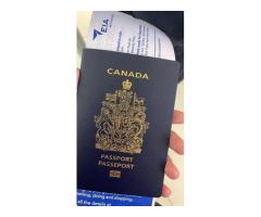 High quality passport drivers license,Banknote and clone cards/WhatsApp......+1(479)335-9634