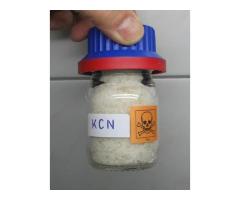 Buy Pure 99% GBL / GHB Liquid