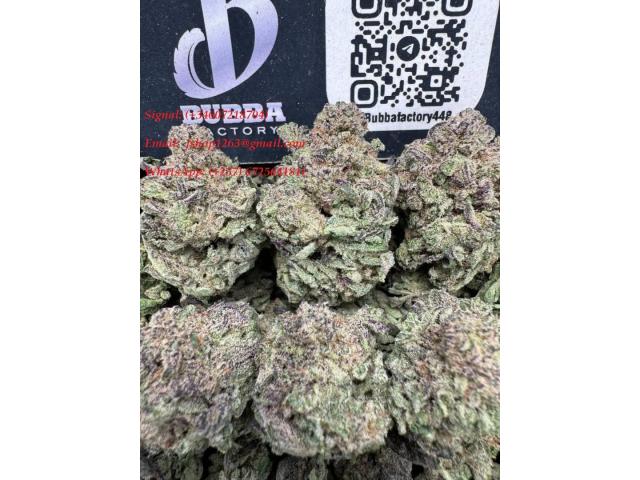 Buy ADB-BUTINACA (7-ADD) Online WhtsAp: (+237) 672564181) Buy K2 Spray Buy K2 Spice K2 Liquid Buy ADB-BUTINACA (7-ADD) Online WhtsAp: (+237) 672564181) Buy K2 Spray Buy K2 Spice K2 Liquid