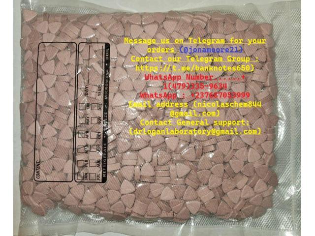 BUY SUPPLEMENTS ONLINE, BUY WEGOVY, OZEMPIC ONLINE:WhatsApp : +237687053999 BUY SUPPLEMENTS ONLINE, BUY WEGOVY, OZEMPIC ONLINE:WhatsApp : +237687053999