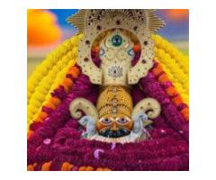 Lal Kitab Astrology +91-7357867617 Business,Job,Study problem solution Pandit ji