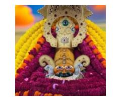 Lal Kitab Astrology +91-7357867617 Business,Job,Study problem solution Shastri Ji Dubai