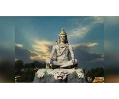 Husband wife love problem solution baba ji ±➒➊-»-7357867617❝❝❞❞ punjab,,mohali