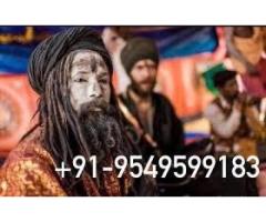 Love Marriage Spell Astrologer Specialties Baba Ji