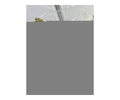 High grade ketamine,coke Pure #BDO,GBL,GHB Top notch molly::WhatsApp...+1(479)335-9634