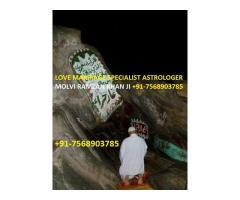 Love Marriage Specialist Astrologer in India +91-7568903785