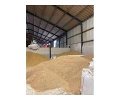 Fish Meal for Animal Feed & Aquaculture – Wholesale