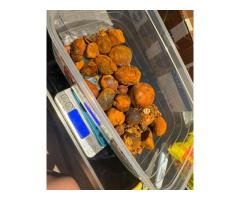 Wholesale supplier of high quality cow/ox gallstones. WhatsApp: +237-682890280