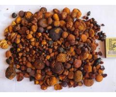 Wholesale supplier of high quality cow/ox gallstones. WhatsApp: +237-682890280