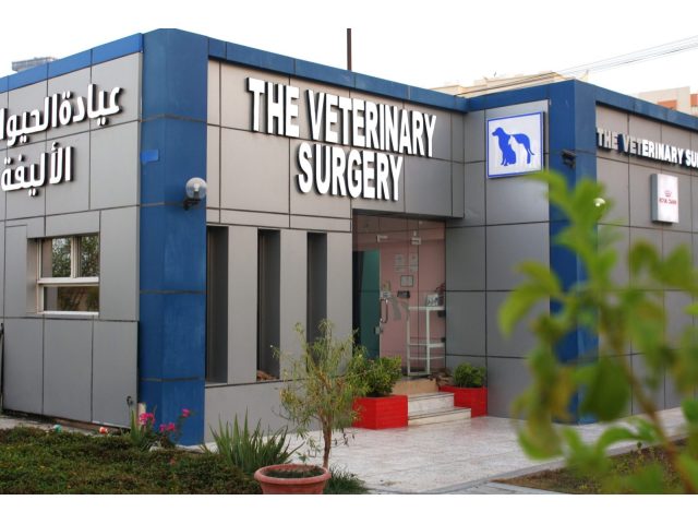 The Veterinary Surgery