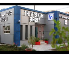 The Veterinary Surgery