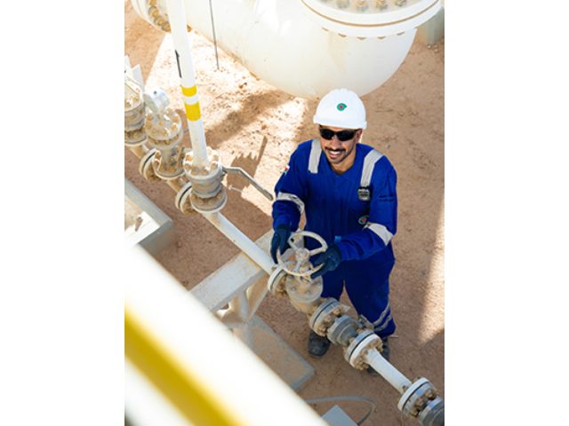Petroleum Development Oman PDO