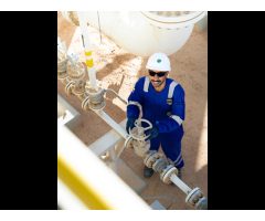 Petroleum Development Oman PDO