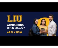 Lebanese International University