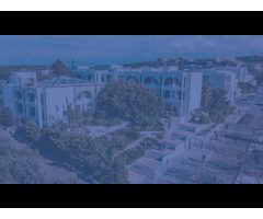 University of Balamand