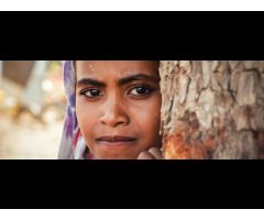 UNFPA Yemen United Nations Population Fund