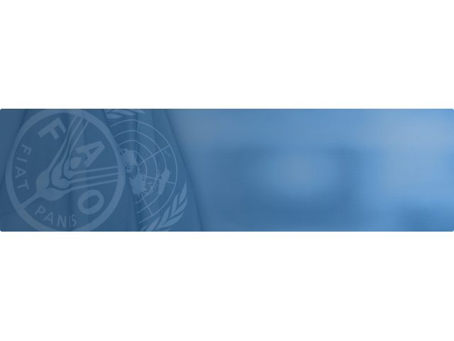 FAO Yemen Food and Agriculture Organization