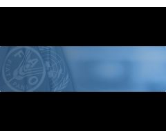 FAO Yemen Food and Agriculture Organization