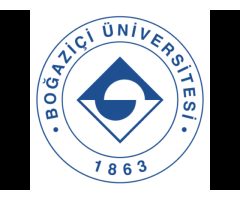 Boğaziçi Üniversitesi