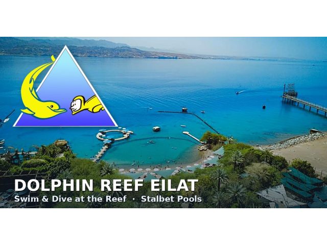 Dolphin Reef Eilat