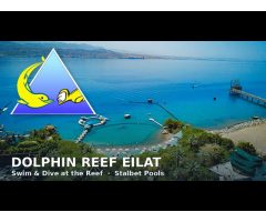 Dolphin Reef Eilat