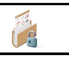 Federal Authority for Identity Citizenship Customs and Port Security ICP