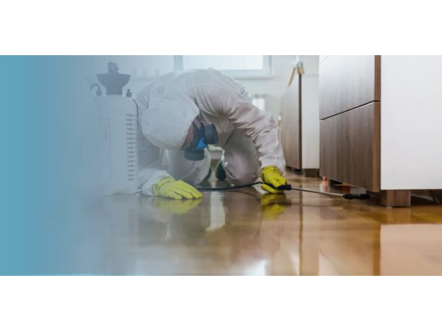 Alfa for Pest Control