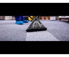 Action Cleaning Services
