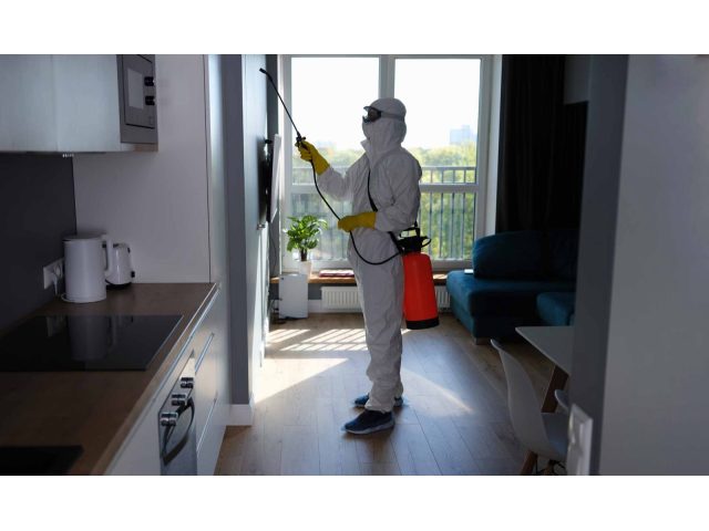 SWF Egypt Pest Control