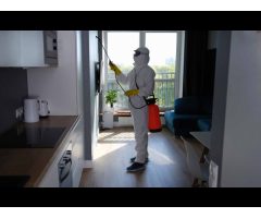 SWF Egypt Pest Control