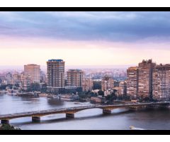 Antal International Egypt Maadi office