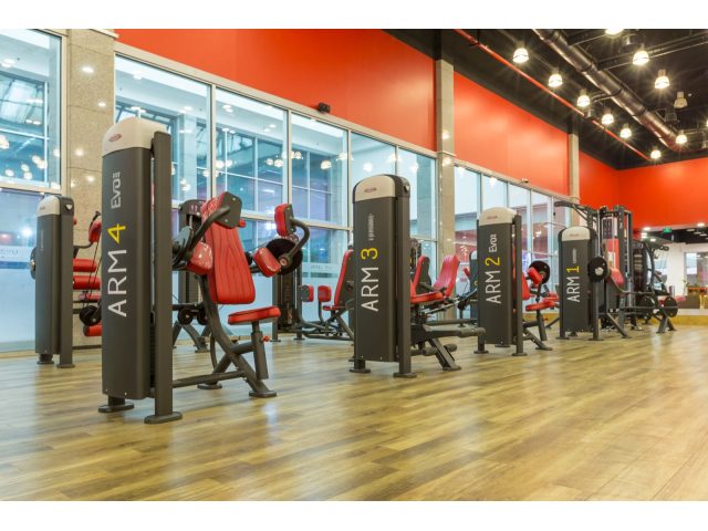 Amyal Gym