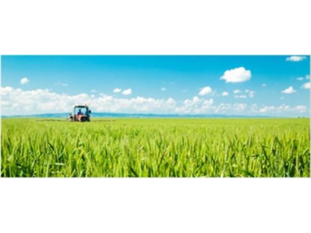 Daher Foods
