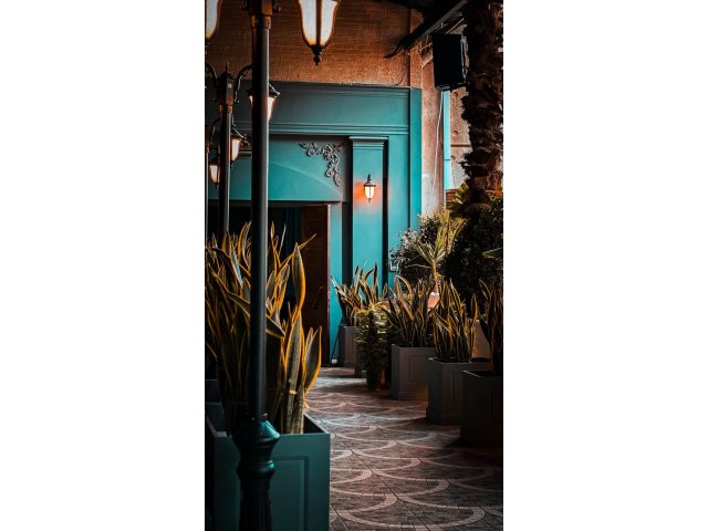 Cocona Cafe-Restaurant کافه رستوران کوکونا