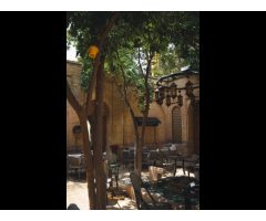 Arcano Cafe Restaurant کافه آرکانو
