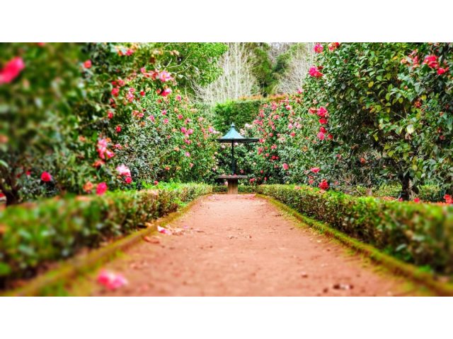 Muscat Elite Landscaping