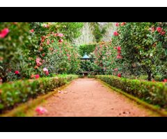 Muscat Elite Landscaping