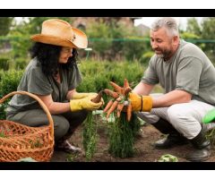 Green Cottage Gardening