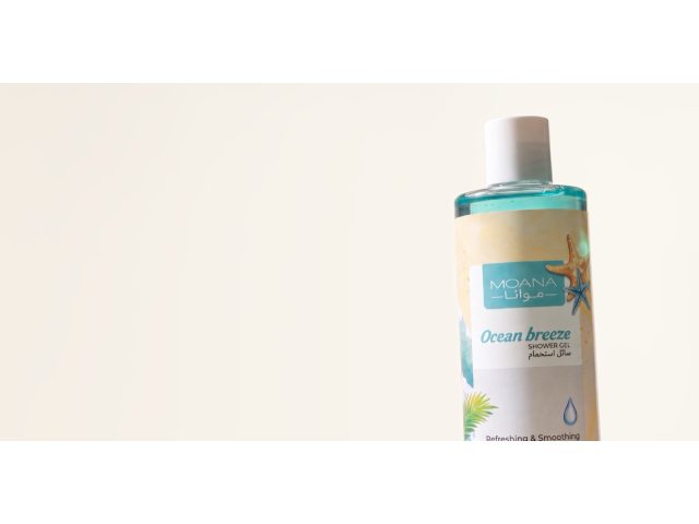 Massoud MOANA and CleanFor