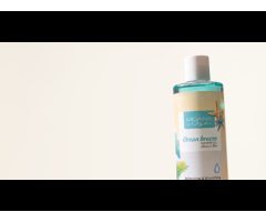 Massoud MOANA and CleanFor