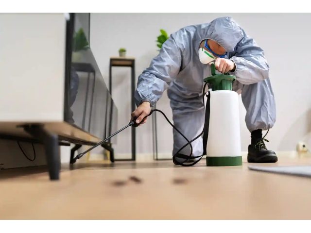 BR Pest Control
