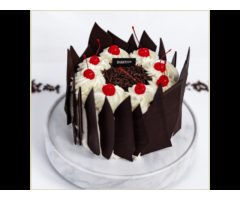 Shany Confectionery קונדיטוריית שני