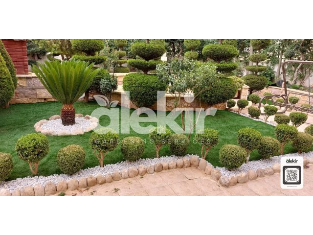 Alekir Services