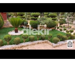 Alekir Services