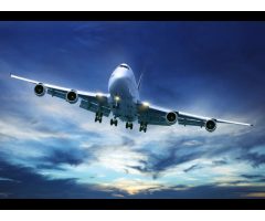 Concord Travel