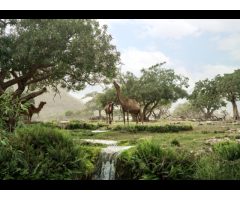 Hawana Salalah