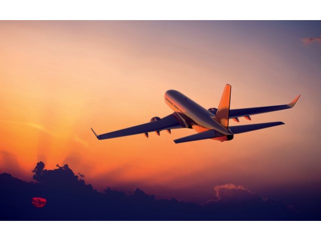 Aden Dawli Travel Manpower Services