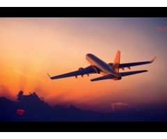 Aden Dawli Travel Manpower Services